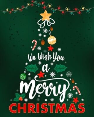 Merry Christmas from our Anasa Family to yours!! 🥰🎄 
We wish you all have a happy & safe Holiday!! 🎄 #merrychristmas #happyholidays #anasahairstudiotemecula