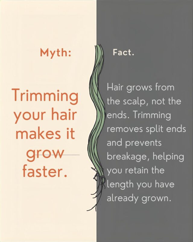 Myth: Trimming your hair makes it grow faster. Fact: Hair grows from the scalp, not the ends. Trimming has no effect on your growth rate, which is determined by genetics, nutrition, and overall health. What trimming DOES do is remove split ends that cause breakage — which means your hair retains the length it has already grown. Regular trims help you hold on to your progress. Questions about your hair health? Our team is here to help. #temeculasalon #temeculahair #anasahairstudio #hairfacts #haireducation #haircare101