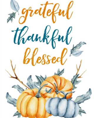 To our cherished guests and incredible team, we are deeply thankful for your trust, support, and dedication that make Anasa Hair Studio a place of beauty and connection. Wishing you a joyful Thanksgiving filled with love, gratitude, and moments that warm your heart!